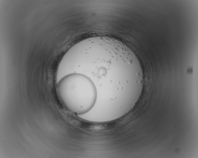 X0000112960662200908270920