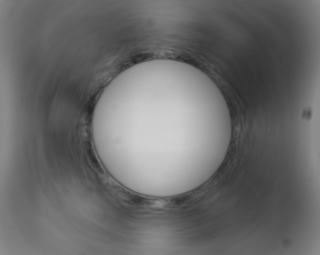 X0000112960663200908270920