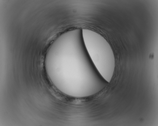 X0000112960664200908270920