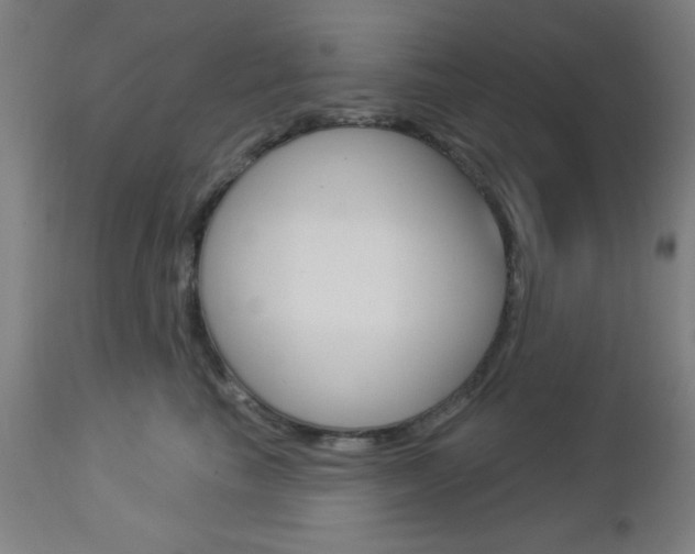 X0000112960665200908270920
