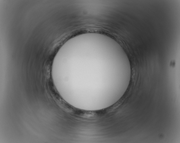 X0000112960666200908270920