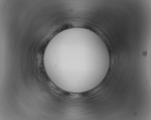 X0000112960667200908270920