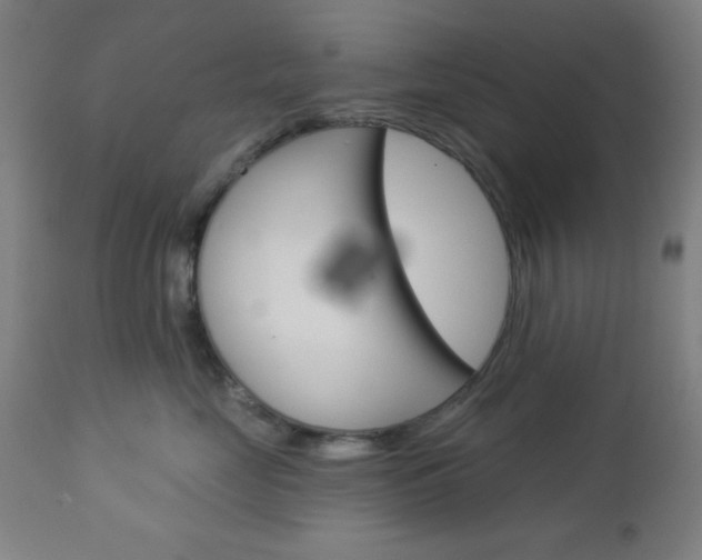 X0000112960669200908270921