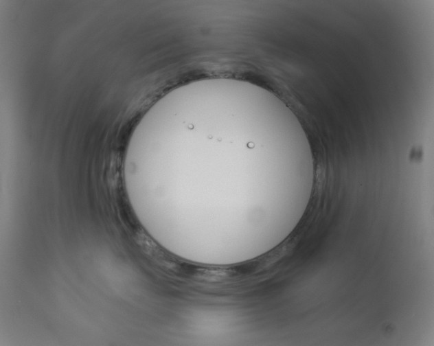 X0000112960671200908270921