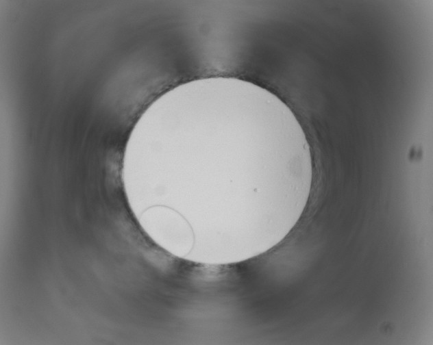 X0000112960672200908270921
