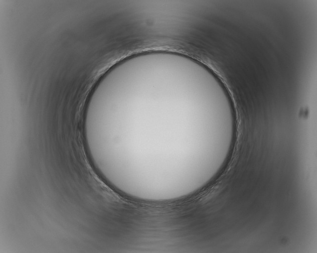X0000112960673200908270920