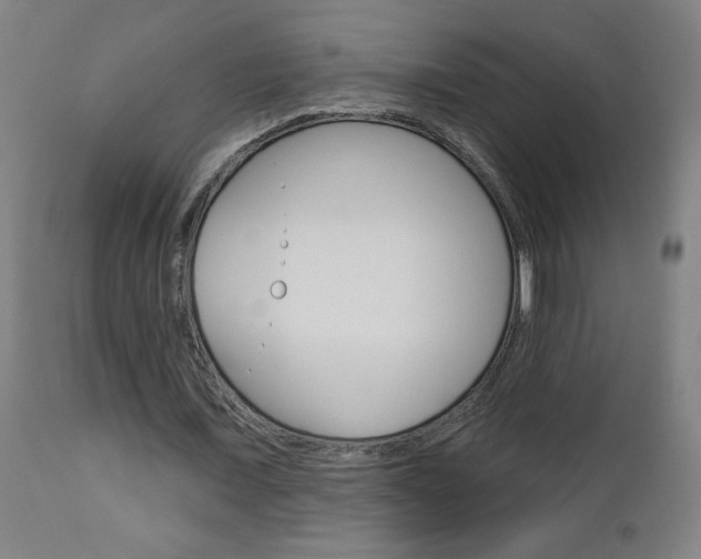 X0000112960675200908270920