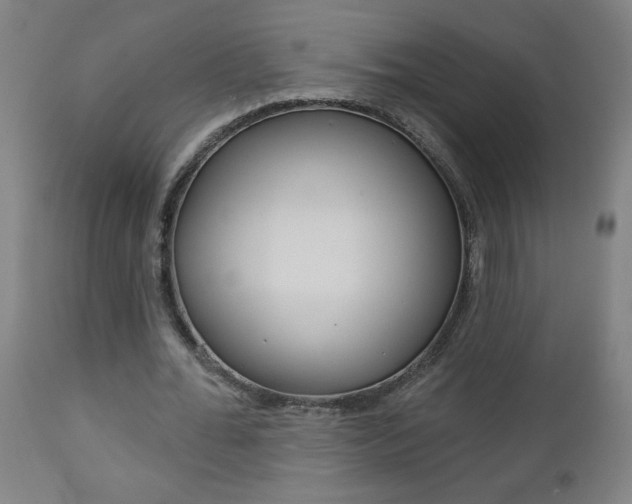 X0000112960676200908270920