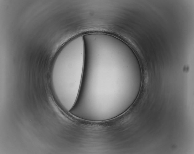 X0000112960677200908270920