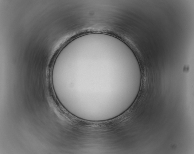 X0000112960678200908270920