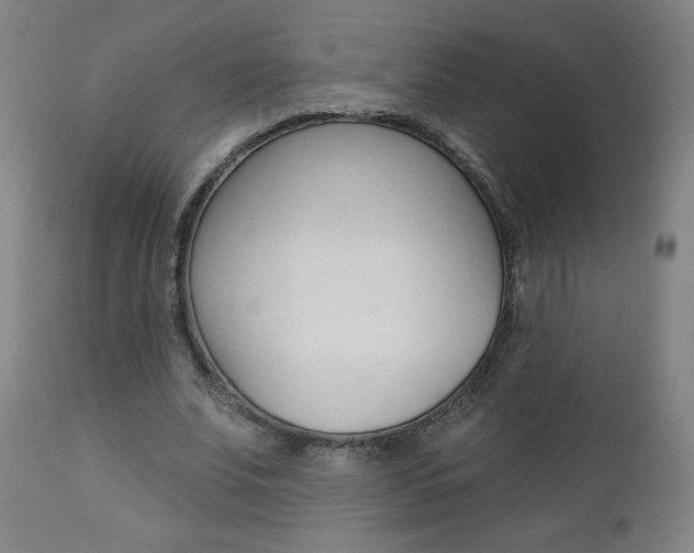 X0000112960679200908270920