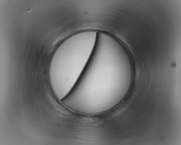 X0000112960681200908270920