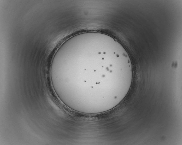 X0000112960683200908270920
