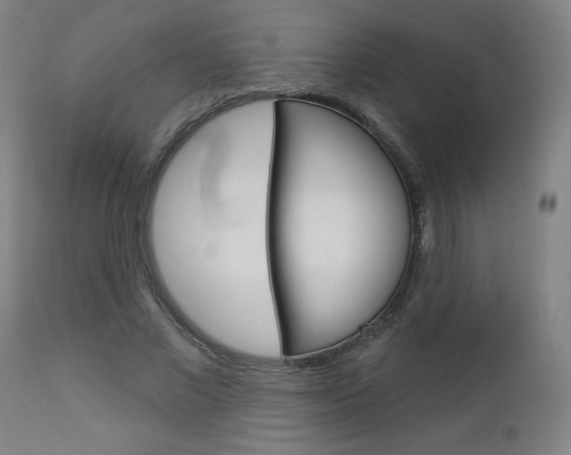 X0000112960685200908270920