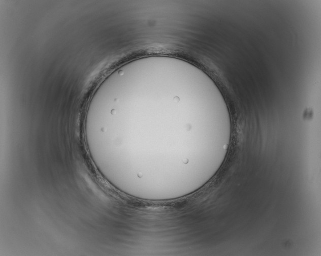 X0000112960686200908270920