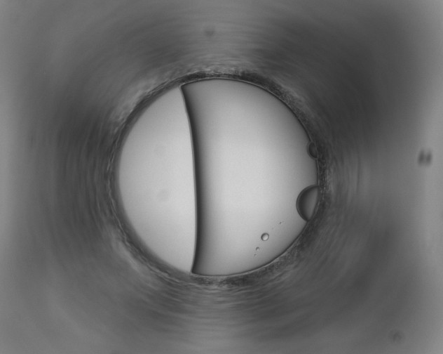X0000112960687200908270920