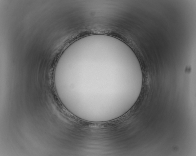 X0000112960690200908270920