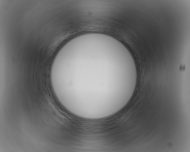 X0000112960692200908270920