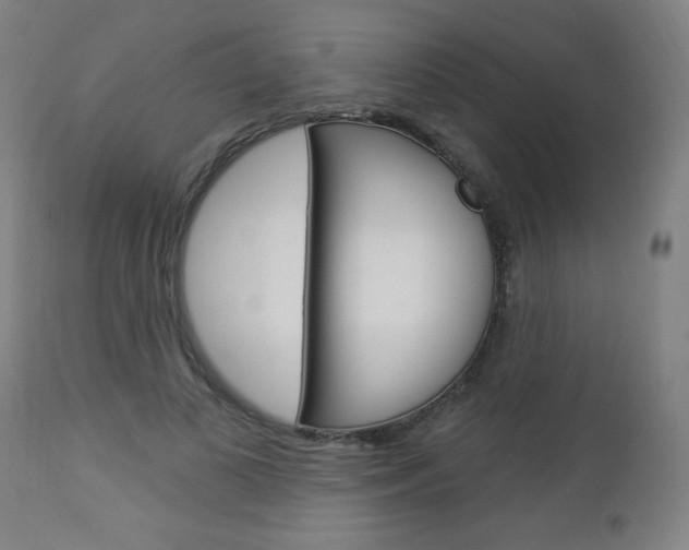 X0000112960693200908270920