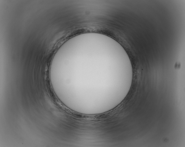 X0000112960694200908270920