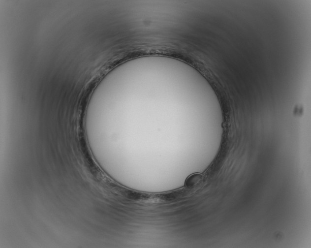 X0000112960695200908270920