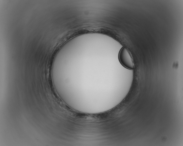 X0000112960697200908270920