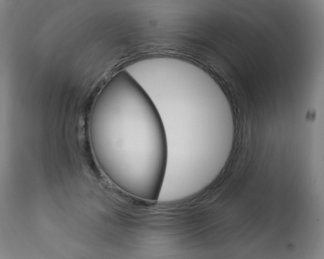 X0000112960700200908270920