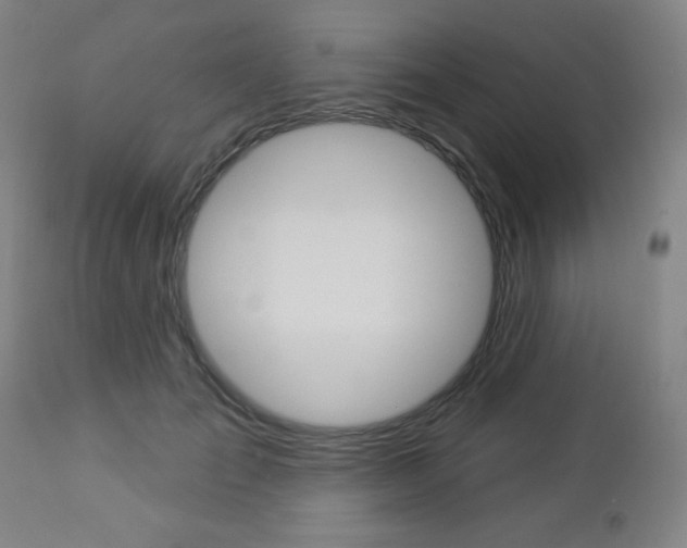 X0000112960701200908270919