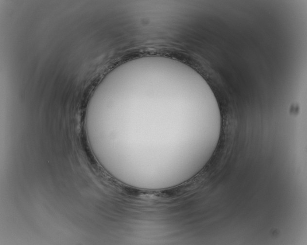 X0000112960703200908270919