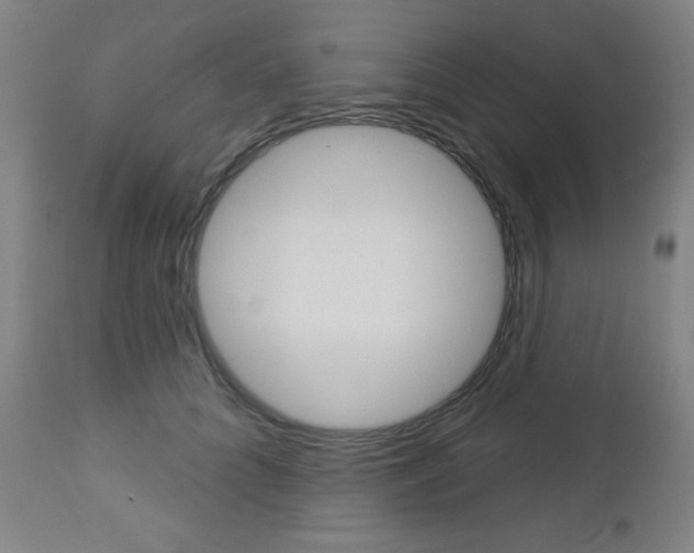 X0000112960704200908270919