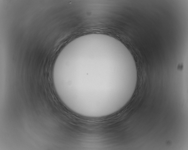 X0000112960705200908270919
