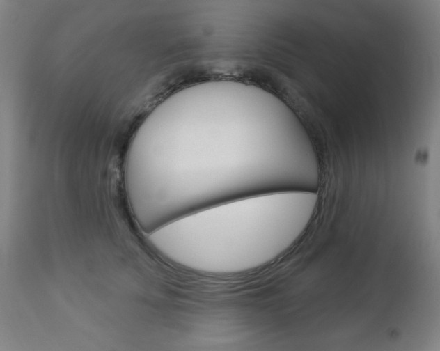 X0000112960707200908270919