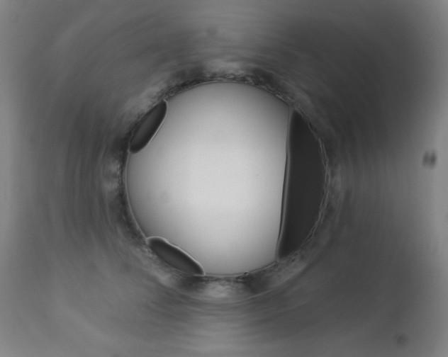 X0000112960708200908270919