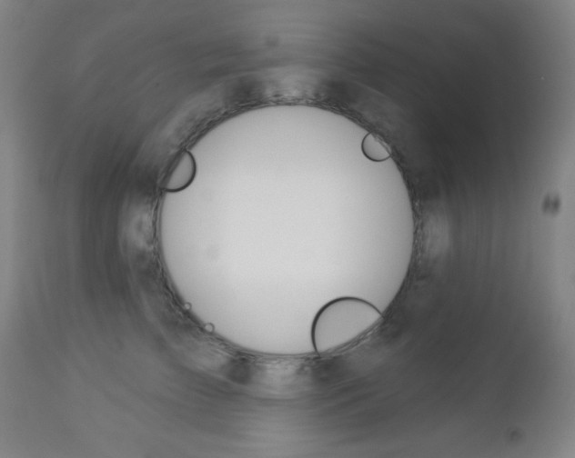 X0000112960709200908270919