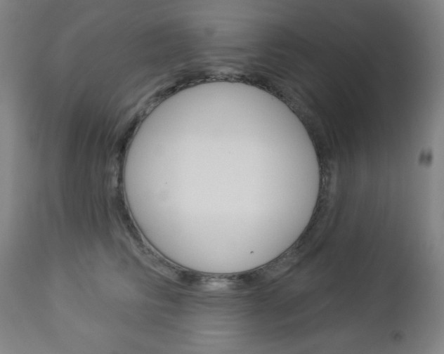 X0000112960710200908270919