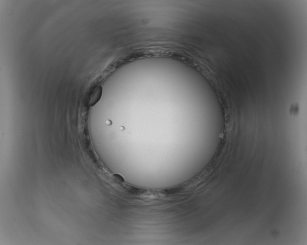 X0000112960712200908270919