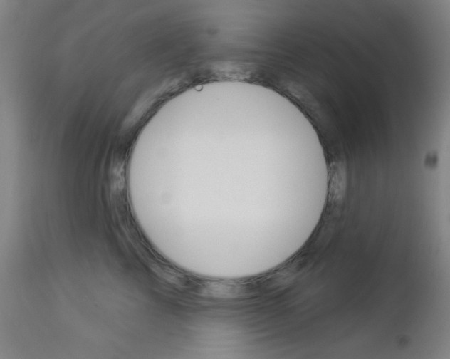 X0000112960713200908270919