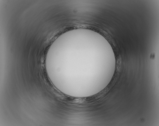 X0000112960714200908270919