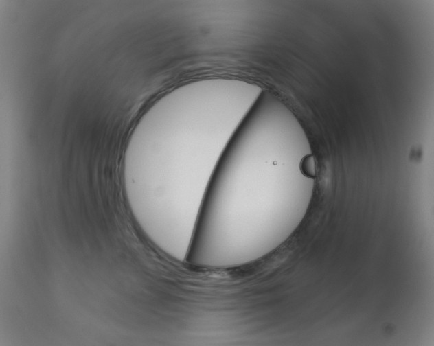 X0000112960715200908270919