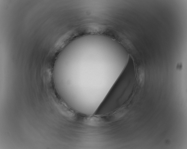 X0000112960716200908270919