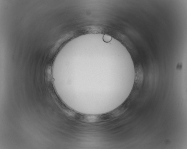 X0000112960717200908270919