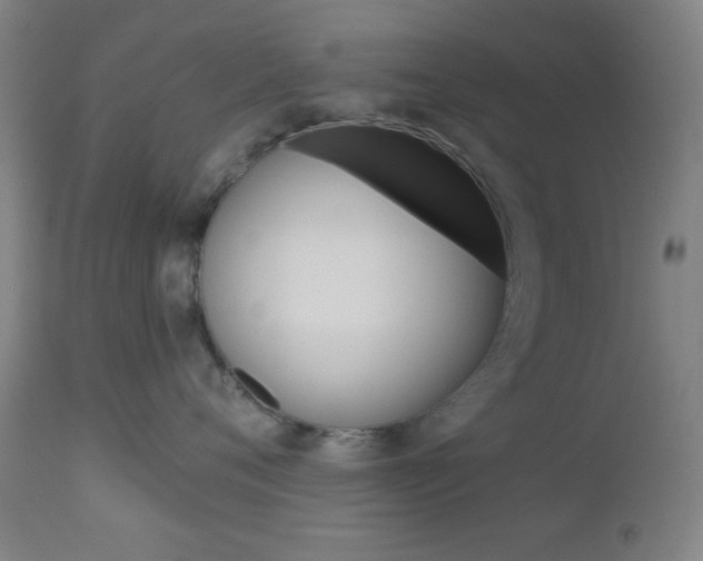 X0000112960720200908270919