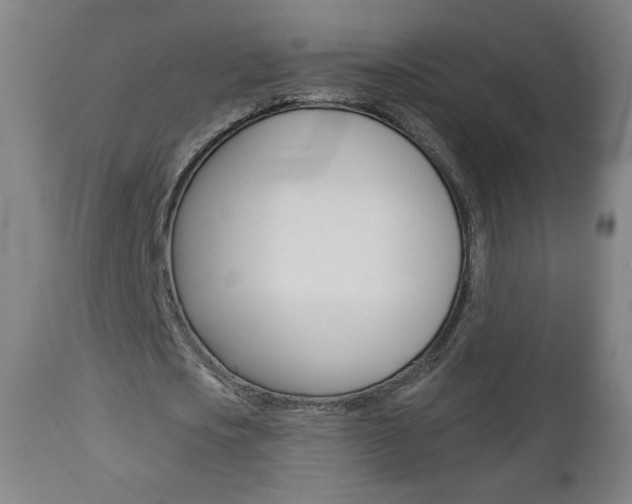 X0000112960721200908270919