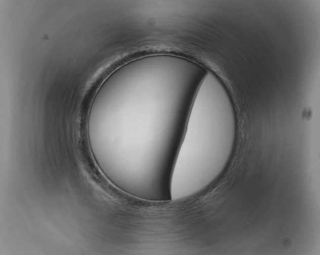 X0000112960722200908270919