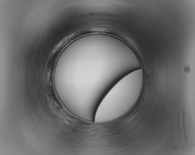 X0000112960723200908270919
