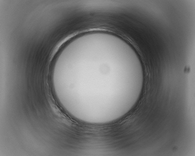X0000112960724200908270919