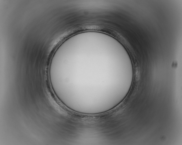 X0000112960725200908270919