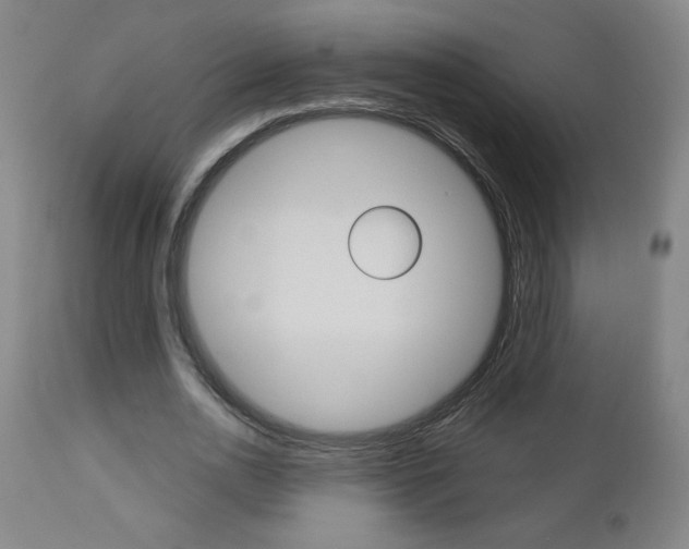 X0000112960726200908270919