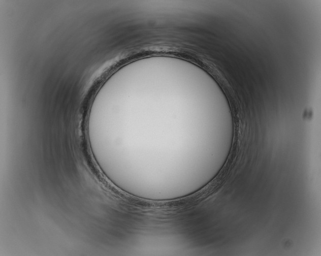 X0000112960727200908270919