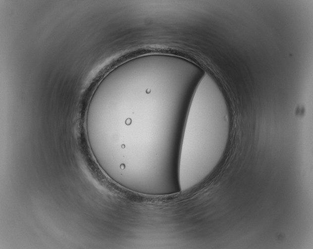 X0000112960728200908270919